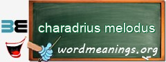 WordMeaning blackboard for charadrius melodus